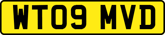 WT09MVD