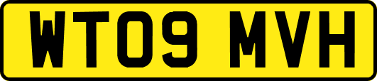 WT09MVH