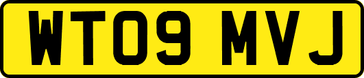 WT09MVJ
