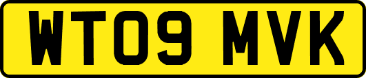 WT09MVK