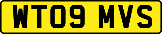 WT09MVS