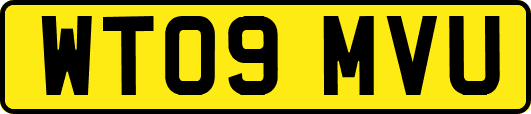 WT09MVU
