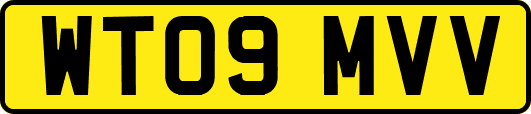 WT09MVV