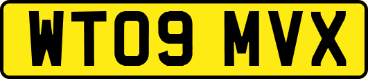 WT09MVX