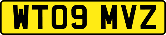 WT09MVZ