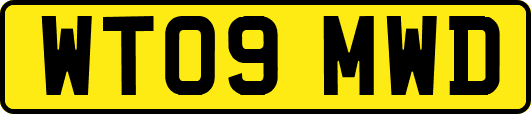 WT09MWD