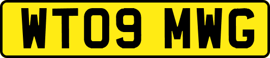 WT09MWG