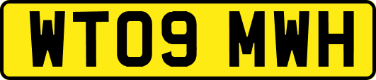 WT09MWH