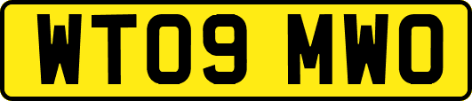 WT09MWO
