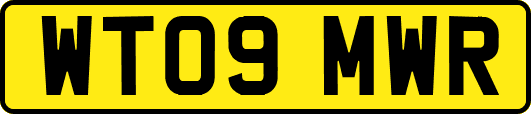 WT09MWR