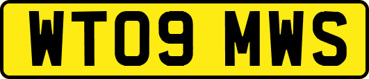 WT09MWS