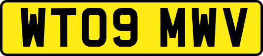 WT09MWV
