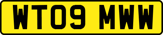 WT09MWW