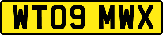 WT09MWX