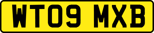 WT09MXB
