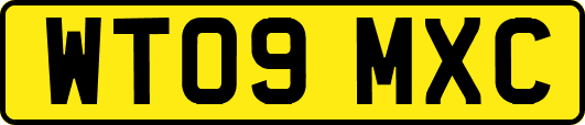 WT09MXC
