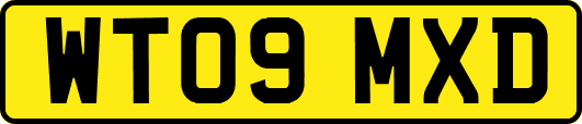 WT09MXD