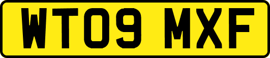 WT09MXF