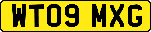 WT09MXG