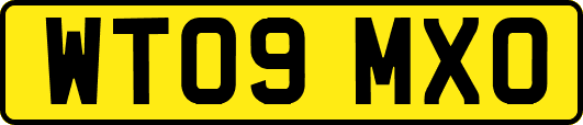 WT09MXO