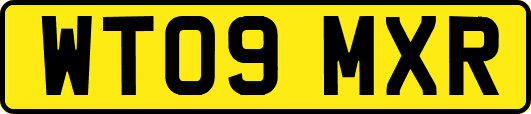 WT09MXR