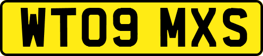 WT09MXS