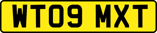 WT09MXT