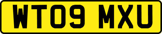 WT09MXU