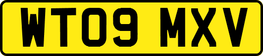 WT09MXV