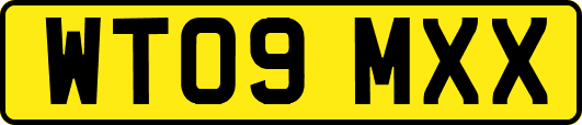 WT09MXX