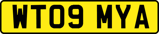 WT09MYA