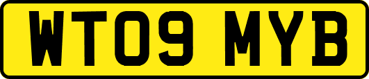 WT09MYB