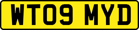 WT09MYD