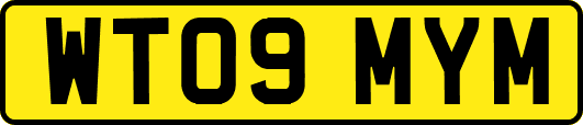 WT09MYM