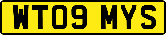 WT09MYS