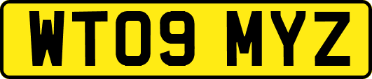 WT09MYZ