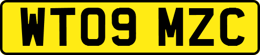 WT09MZC