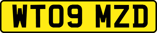 WT09MZD