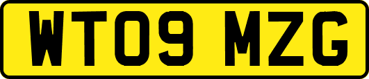 WT09MZG