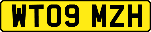 WT09MZH