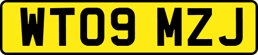 WT09MZJ