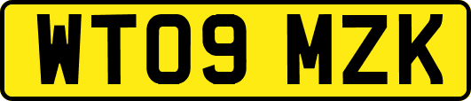 WT09MZK
