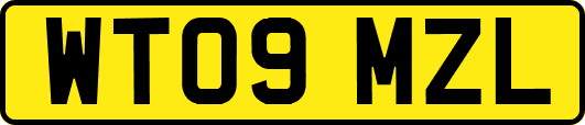WT09MZL