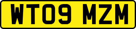 WT09MZM