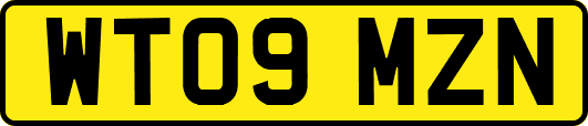 WT09MZN