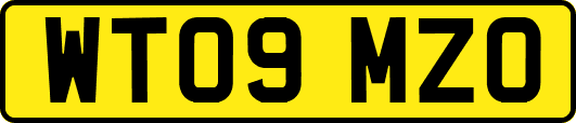 WT09MZO