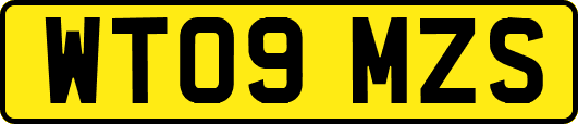 WT09MZS