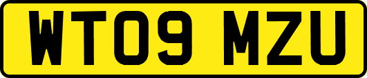 WT09MZU
