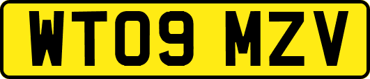 WT09MZV