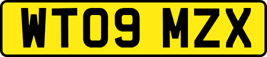 WT09MZX